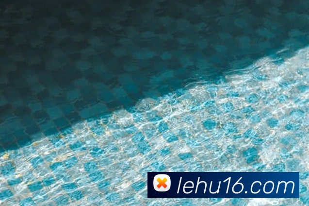 乐虎官网网站发展历程