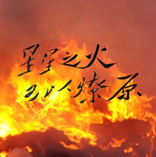 保守派想守住的不是秩序,而是自己的特权